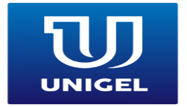 Unigel Group plc